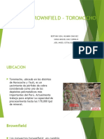 Proyecto Brownfield - Toromocho