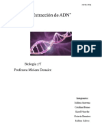 Informe Biologia