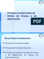 Principios Fundamentais Da Criança e Do Adolescente