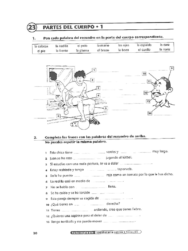 Las Partes Del Cuerpo | PDF