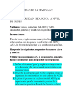 Actividad de La Semana 6 Avace