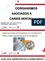 Microorganismos 9