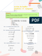 Problema - Buffer Fosfato