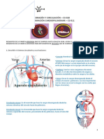 Corazón y Circulación y RCP - CS 020, 011 - Shekinah