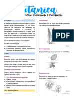 Botânica aula 2 pós prova