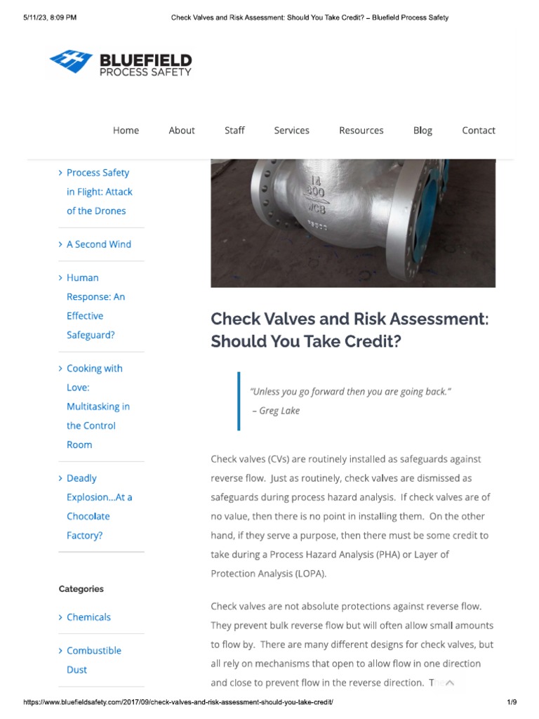 Check Valves and Risk Assessment Should You Take Credit | PDF