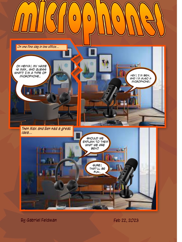 Gabrielfeldman Microphones PDF