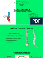 Diapositivas Columna Cervical y Toracica PDF