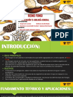 Reino Fungi Evaluacion t2 - Biologia General (Trabajo Grupal)