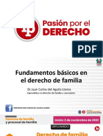 Fundamentos Básicos en El Derecho de Familia PDF Gratis