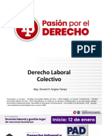 Derecho Laboral Colectivo PDF Gratis