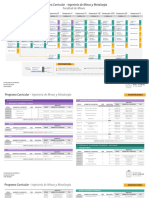 Programa Curricular Ingenieria Minas y Metalurgia