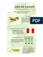 Infografía Ideas Creativas para Reciclar Ropa Didáctico Verde