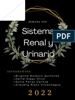 Sistema Renal y Urinario