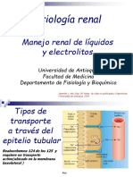 Apuntes Manejo Renal de Electrolitos AUR