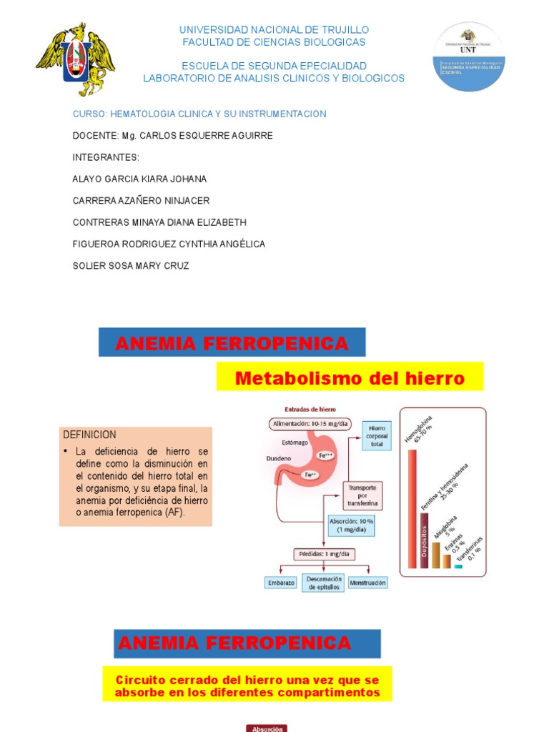 Anemia Ferropenica PDF Leucemia Vitamina B12