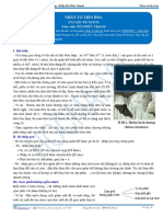 PDF Content