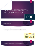 Procesos Energeticos en Los Seres Vivo