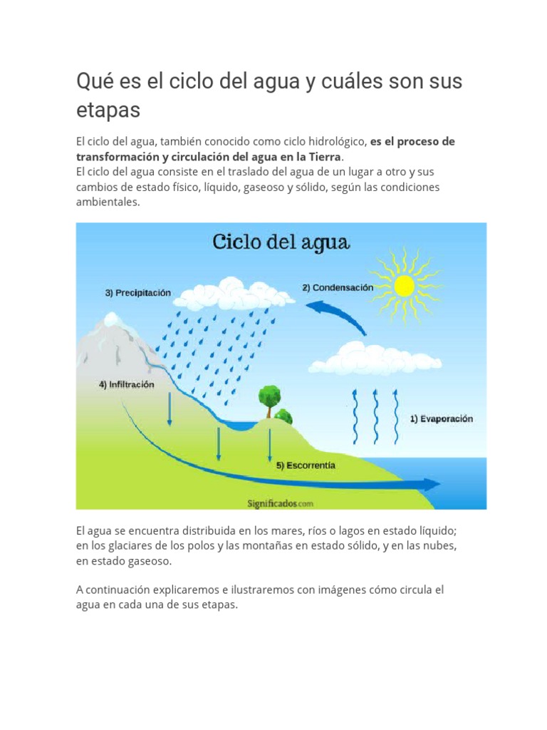 Etapas del ciclo del agua explicado | PDF | El ciclo del agua | Agua