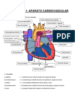 EJERCICIO Corazón