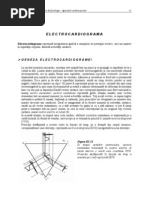 Electrocardiograma: Geneza Electrocardiogramei