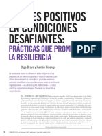 Ajustes-Positivos Resiliencia