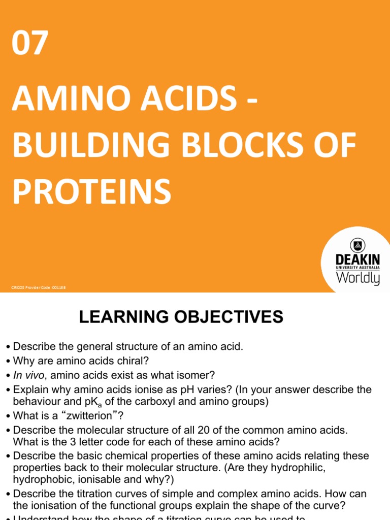 07 Amino Acids | PDF
