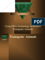 Using DNA Technology To Produce Transgenic Animals