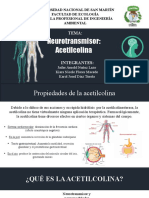 Neurotransmisores. G5