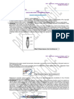 Parazitologie CURS Si LP 4.1 CESTODE 05.05.20 (I)