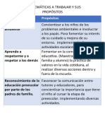 Problemáticas A Trabajar y Sus Propósitos