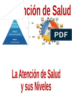 Tema 3. ATENCION EN SALUD Y ESTRATEGIAS