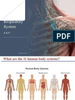 1 Respiratory System AP1