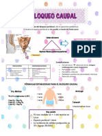 Bloqueo Caudal