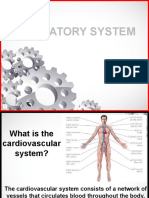 Circulatory System