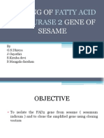 Cloning of Fatty Acid Desaturase 2 Gene of