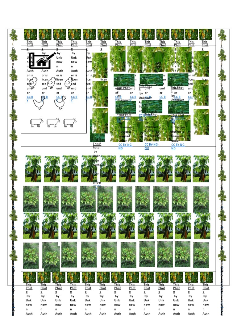 Farm Layout | PDF