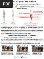 Scapular Stabilization Exercise Protocols | PDF | Shoulder | Strength ...