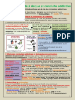 Bac 2nde Comportements A Risque Et Conduite Addictive