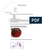 Microbiology Practical: 3. Blood Culture (BC)