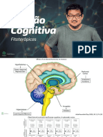 Henry Okigame - Função Cognitiva e Fitoterápicos