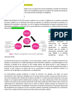 Resumen Sonbre Intervención Nutricional