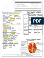 Ficha Biologia