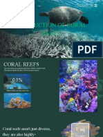 C9 Destruction of Coral Reefs Porras