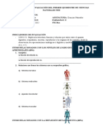 Instrumento de Evaluación Del Primer Quimestre de Ciencias Naturales Nee