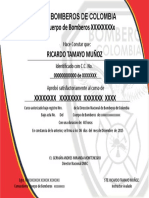 Modelo Certificado DNBC