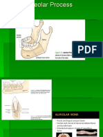 Alveolar Bone