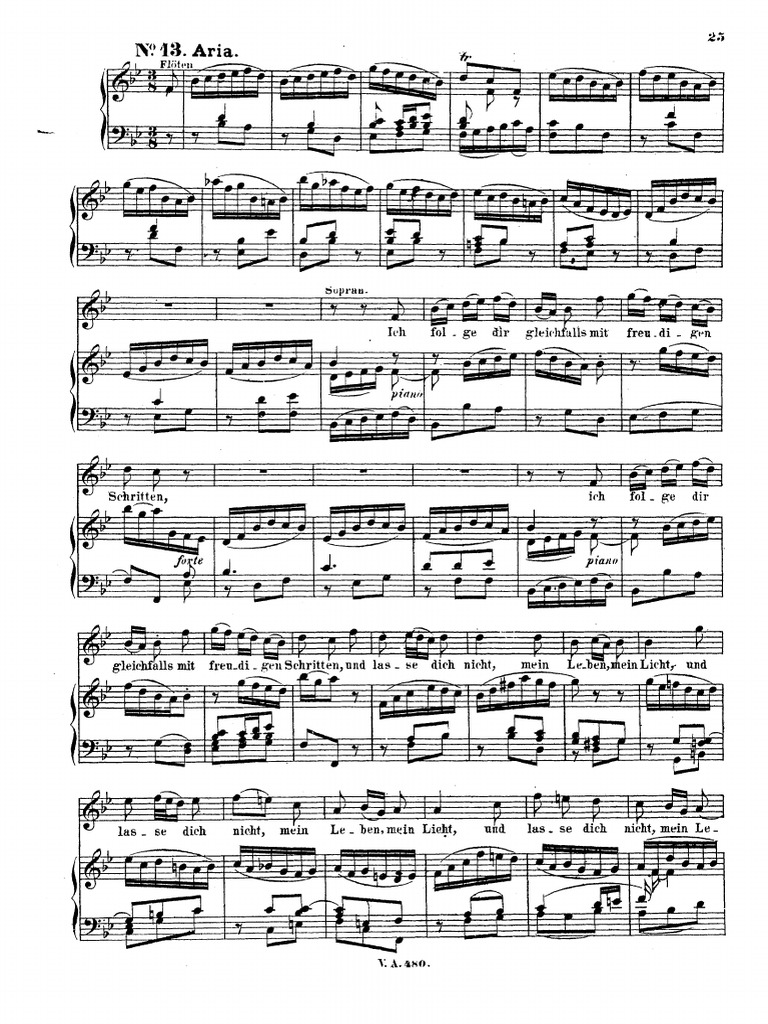 Ich Folge Dir Gleichfalls Johannespassion Bach | PDF
