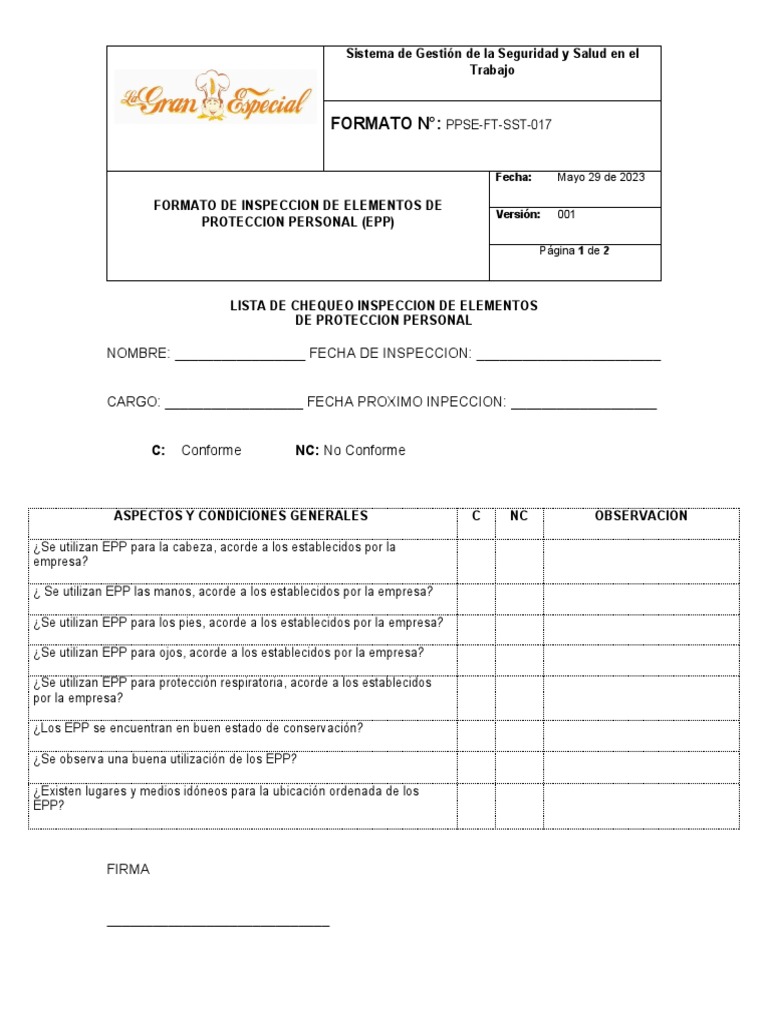 INSPECCION DE EPP | PDF
