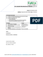 Informe de Visita Asesor Prevencion de Riesgos n001